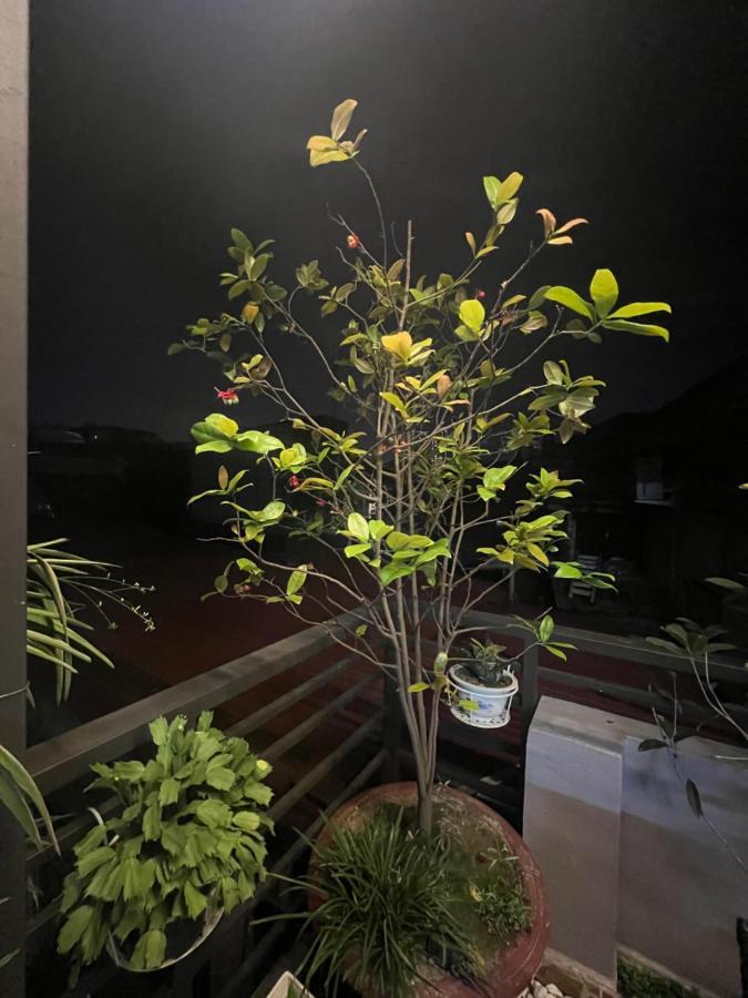 Sunflower Homestay Hajfong Zewnętrze zdjęcie